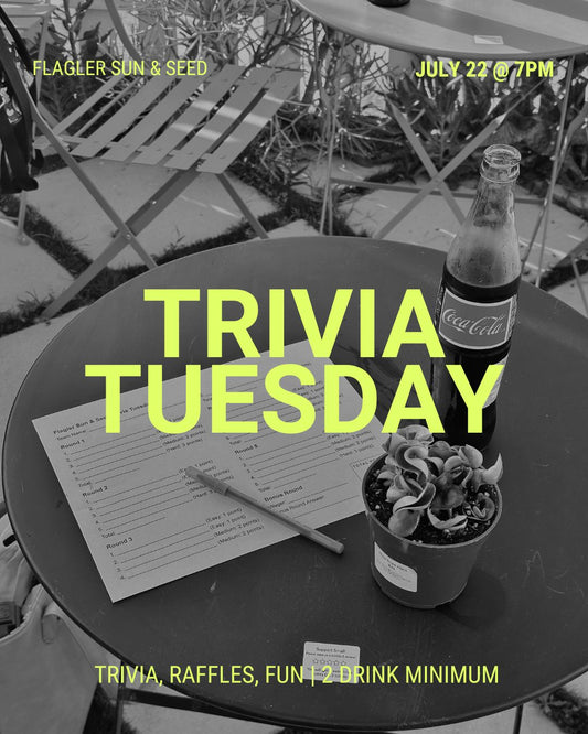 Trivia Tuesday - July 22, 2025