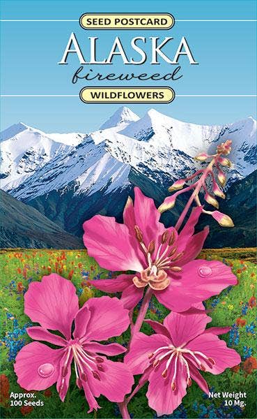 Alaska Fireweed Wildflower Seed Packet