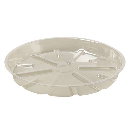 Plastic Saucer potted plant