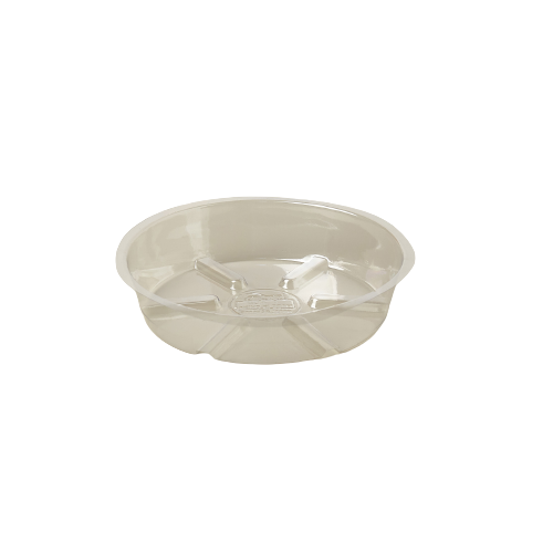 Plastic Saucer potted plant