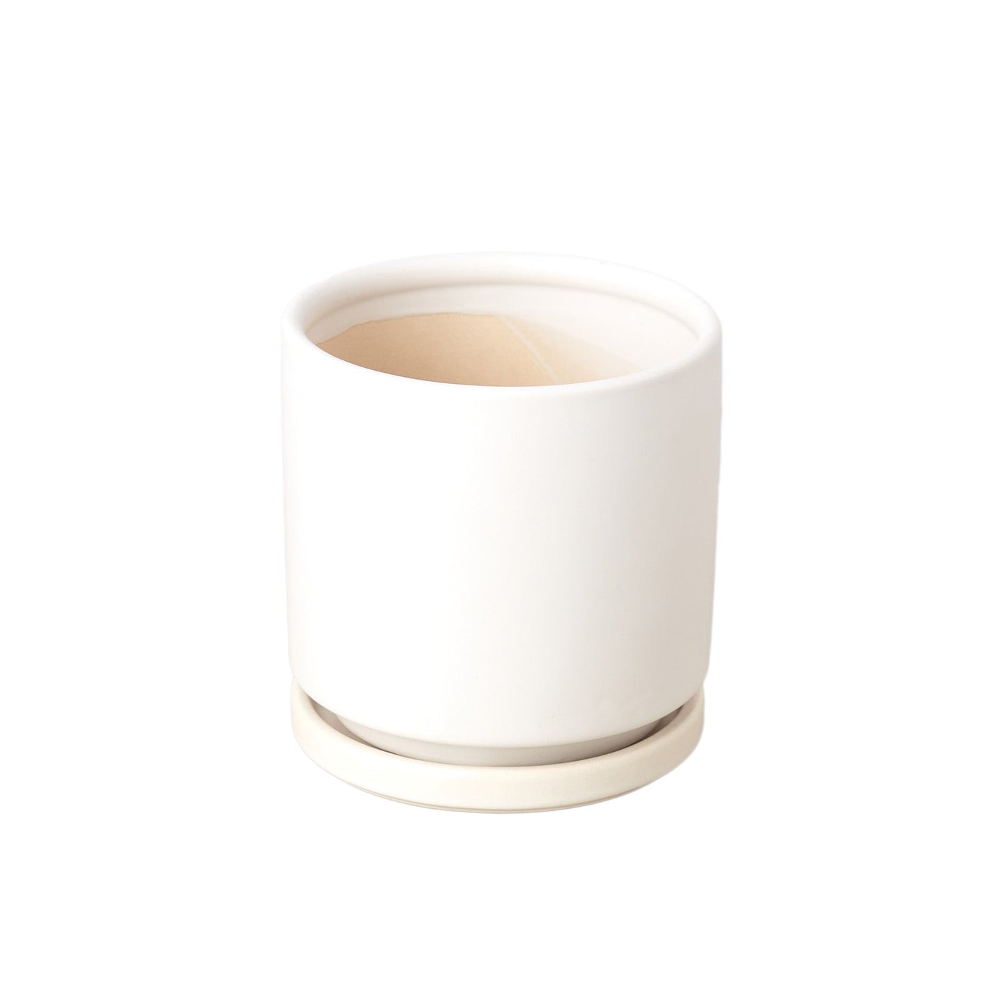Cylinder Pot potted plant