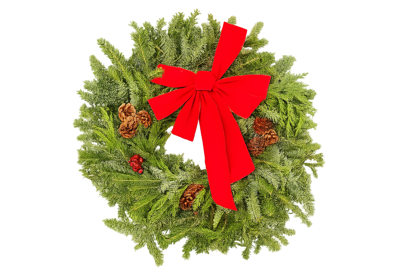 East meets West Decorated Wreath (Fraser, Noble, Cedar) 22" potted plant