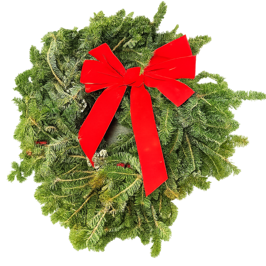 Fraser Fir Wreath Decorated 22" potted plant