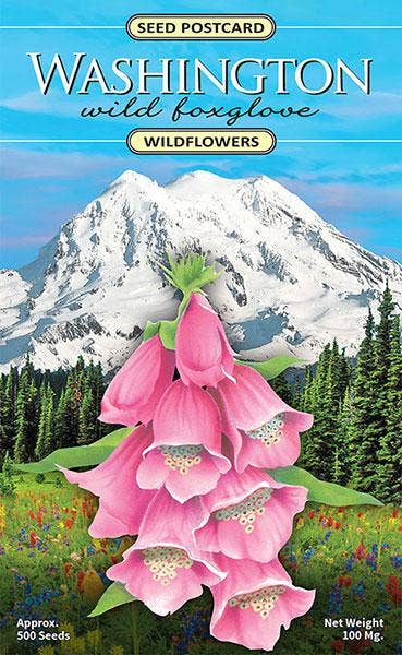 Washington Wild Foxglove Wildflower Seed Packet