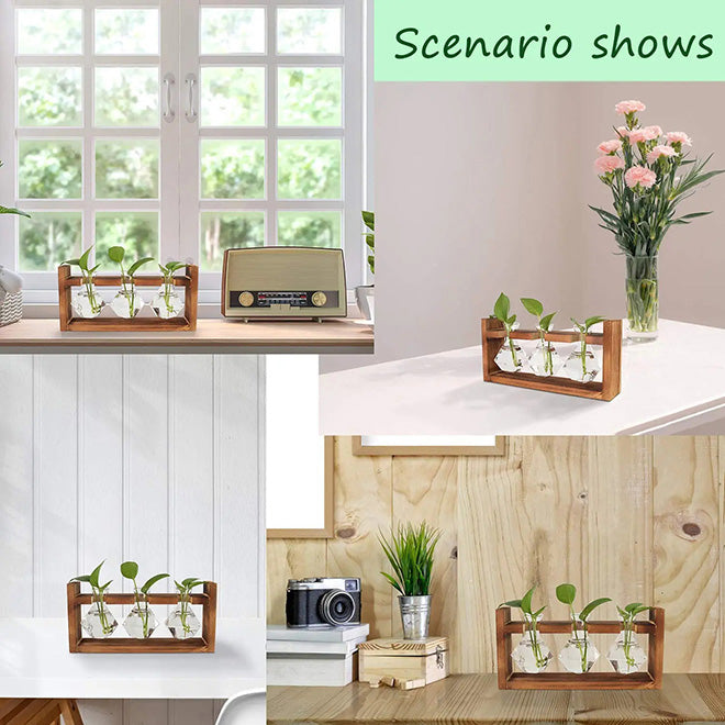 Tabletop Propagation Station with Diamond Shape Glass