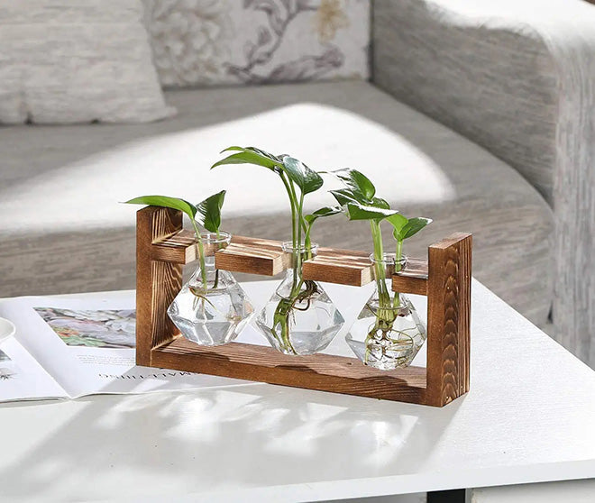 Tabletop Propagation Station with Diamond Shape Glass