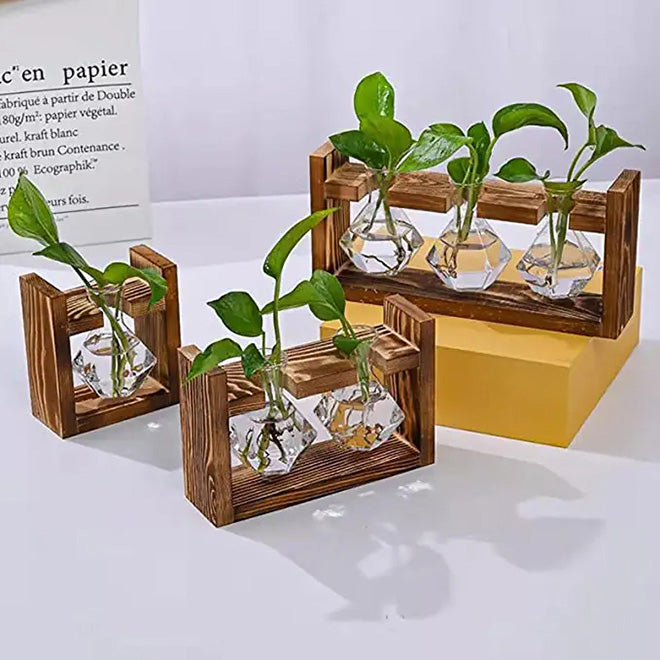 Tabletop Propagation Station with Diamond Shape Glass