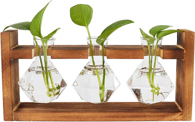 Tabletop Propagation Station with Diamond Shape Glass