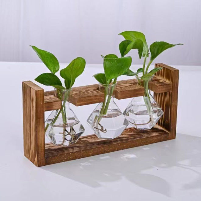 Tabletop Propagation Station with Diamond Shape Glass