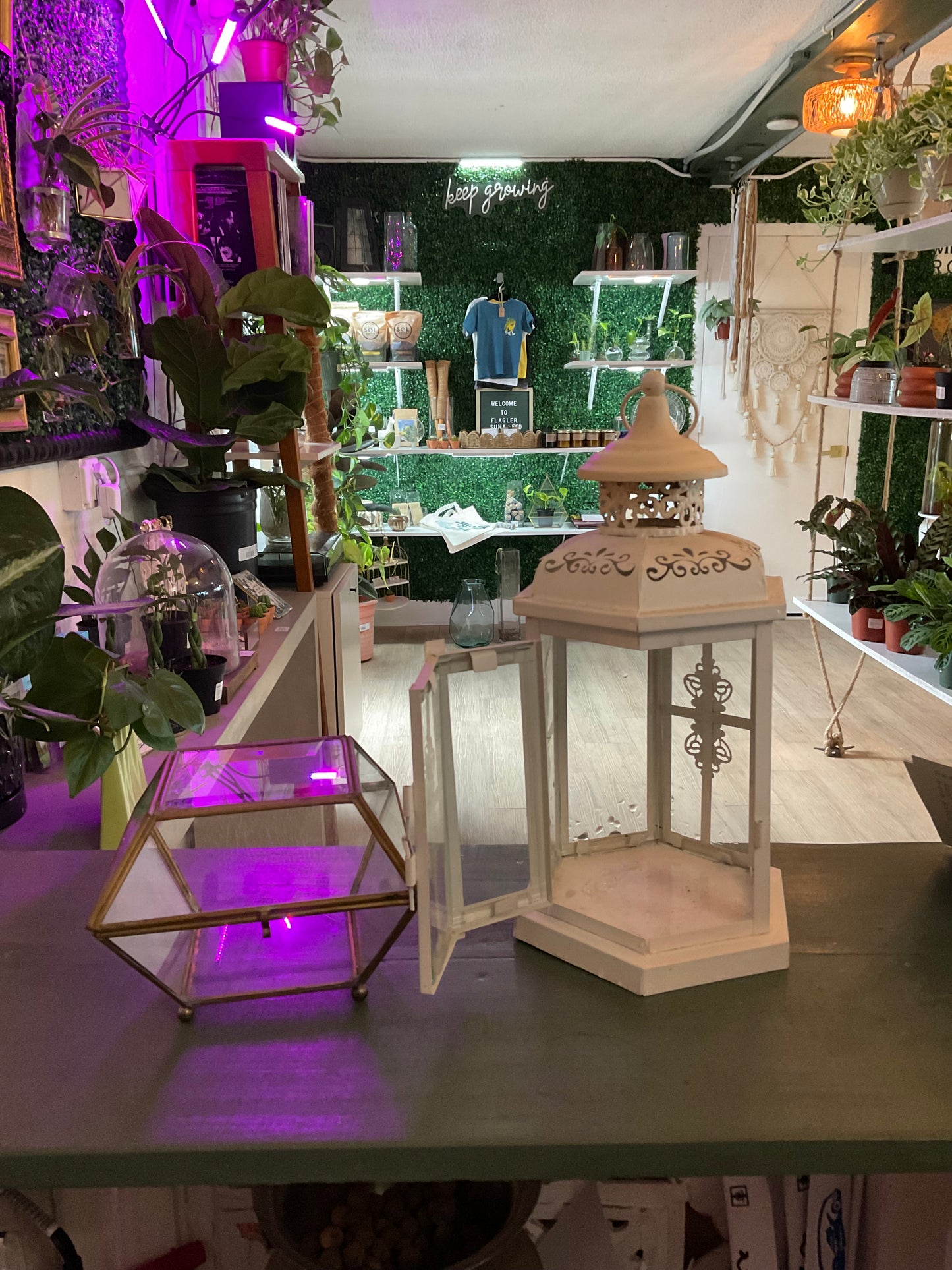 Glassware - Boutique