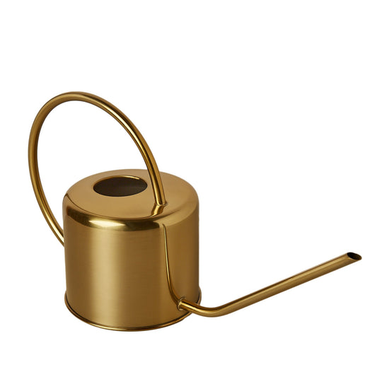 Brass Watering Can potted plant