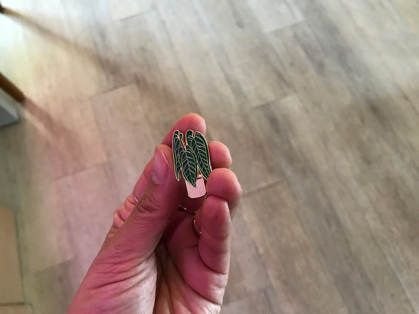 Pin