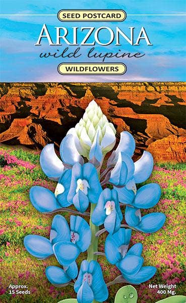 Arizona Wild Lupine Wildflower Seed Packet