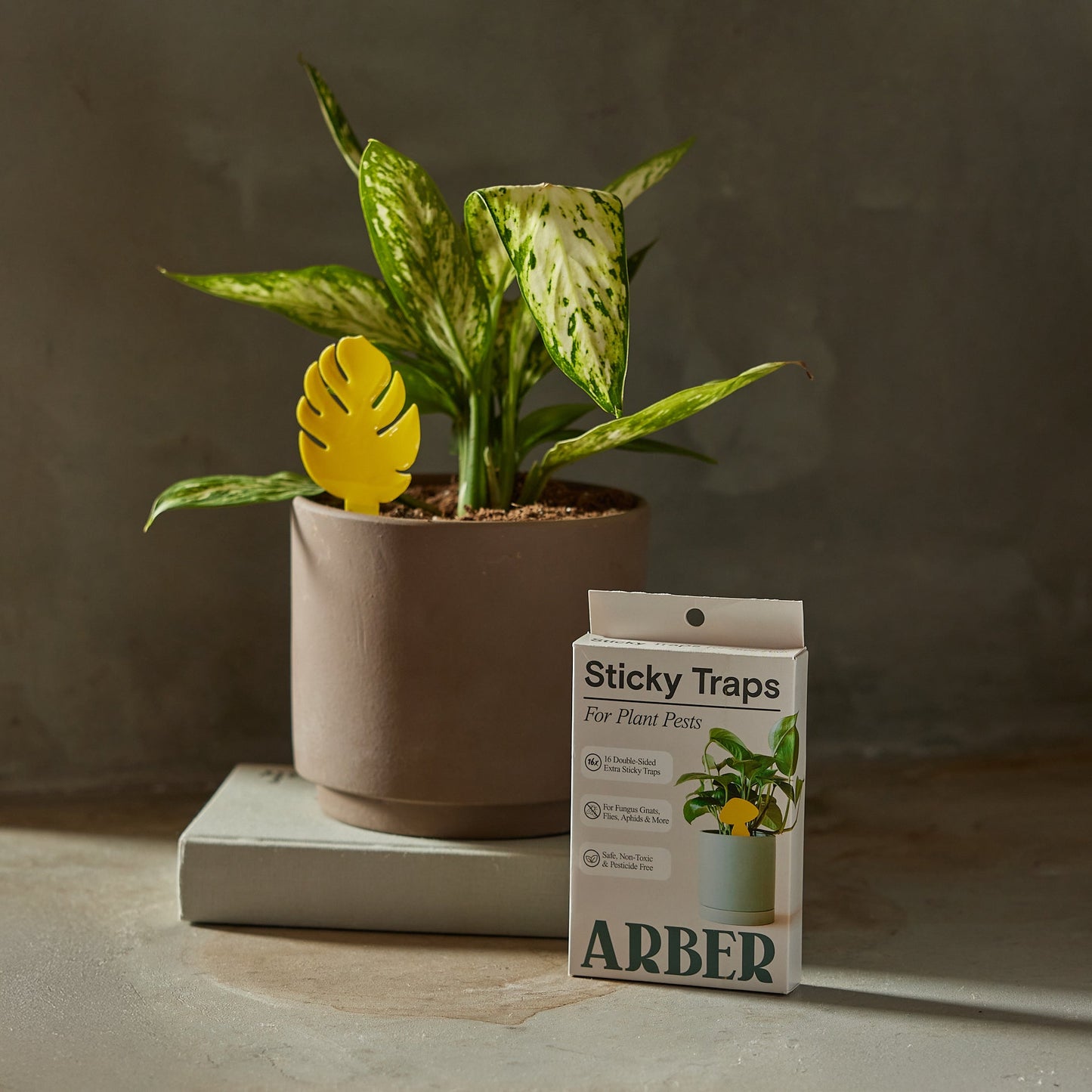 Sticky Traps for Plant Pests potted plant