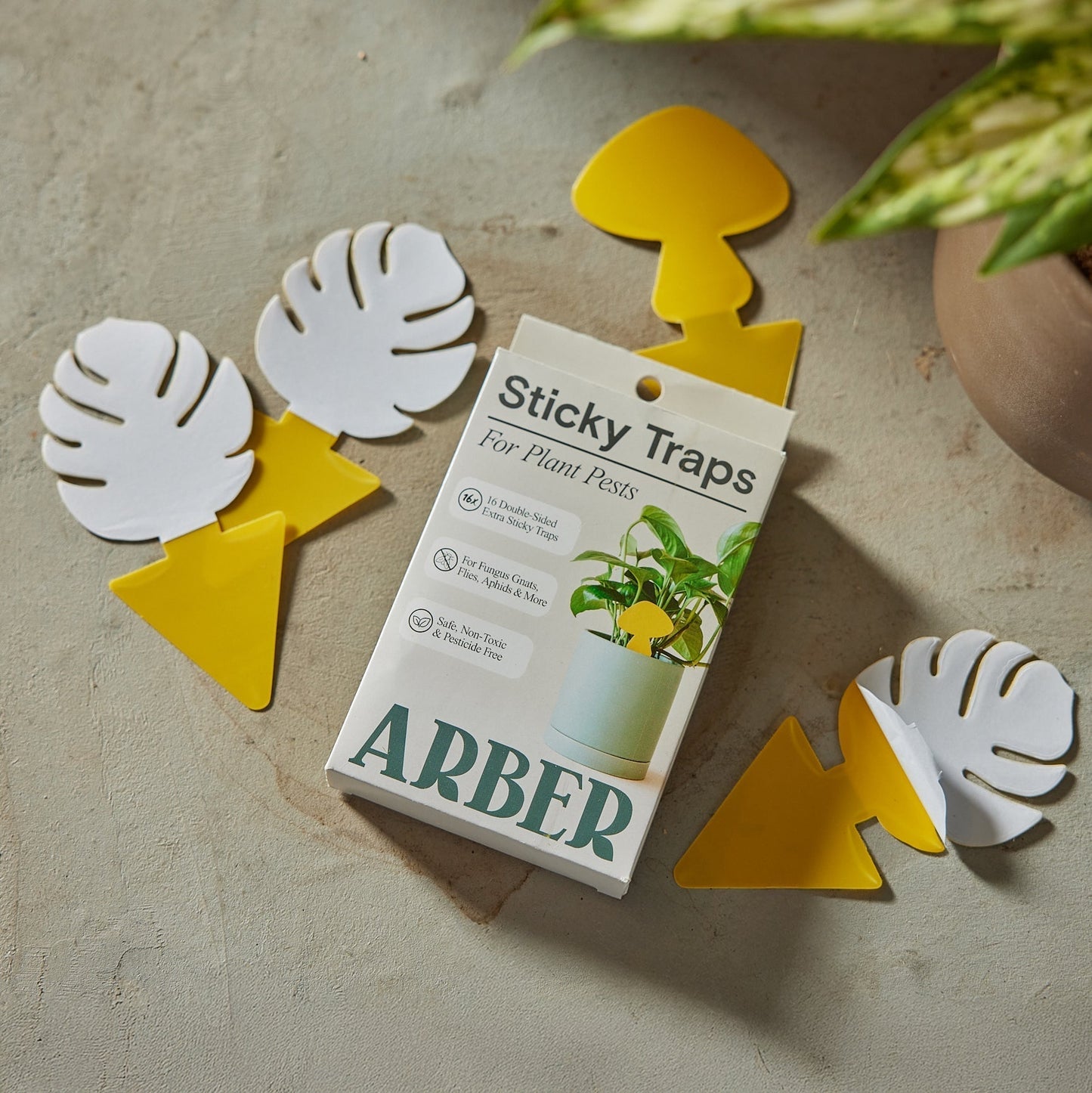 Sticky Traps for Plant Pests potted plant