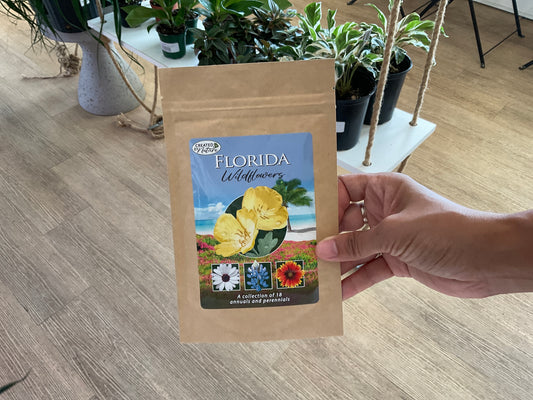 Florida Wildflower