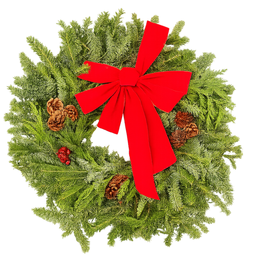 East meets West Decorated Wreath (Fraser, Noble, Cedar) 22" potted plant