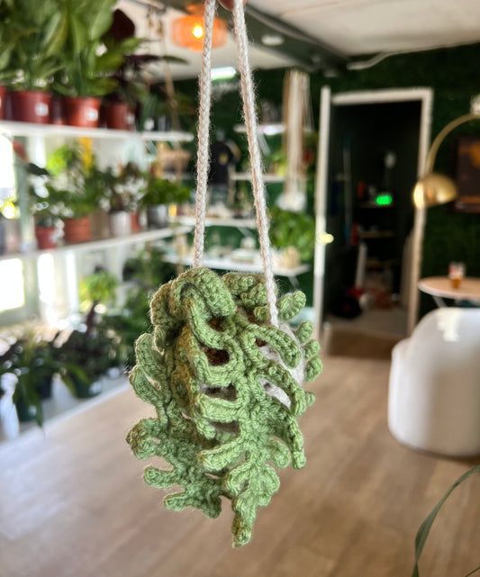 Emma’s Knit Plant