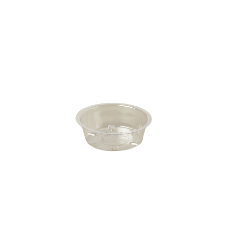 Plastic Saucer potted plant