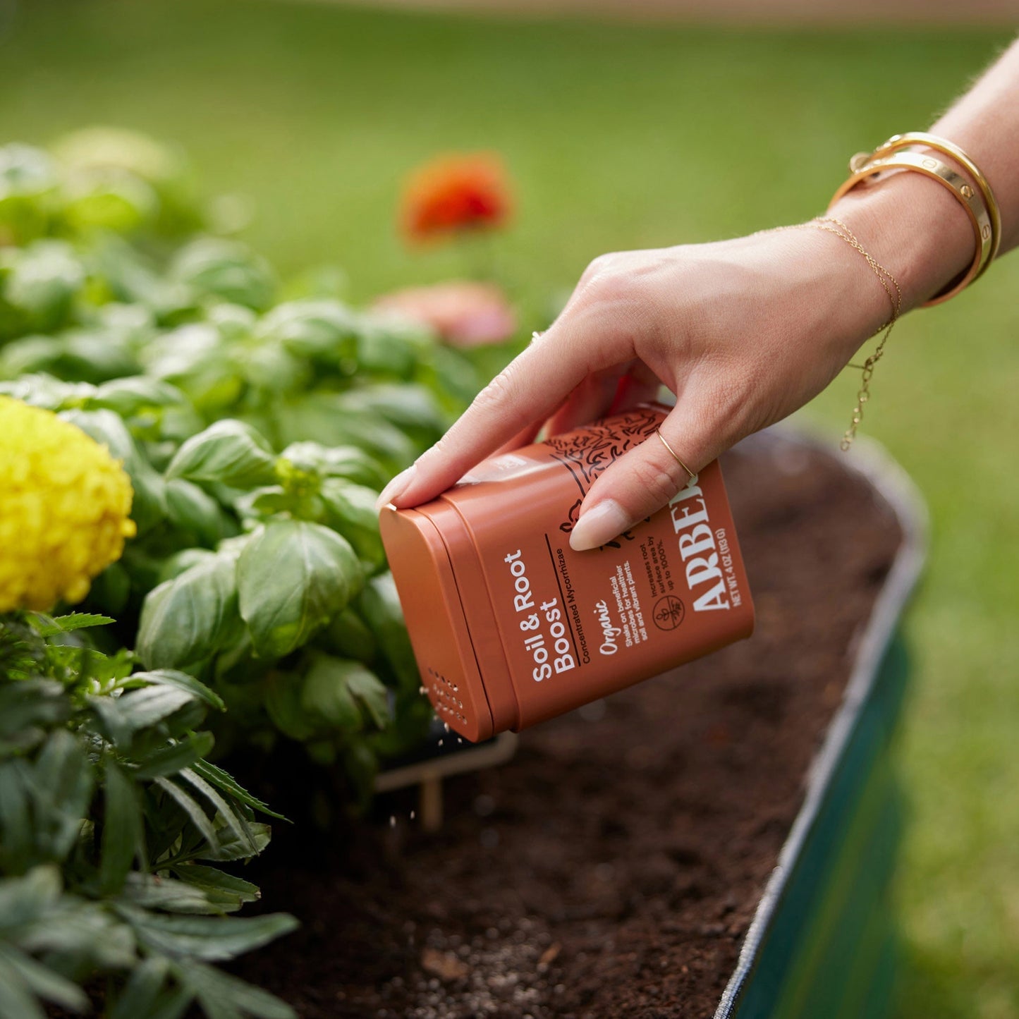 Organic Soil & Root Boost potted plant