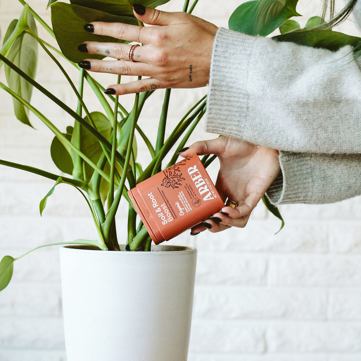 Organic Soil & Root Boost potted plant
