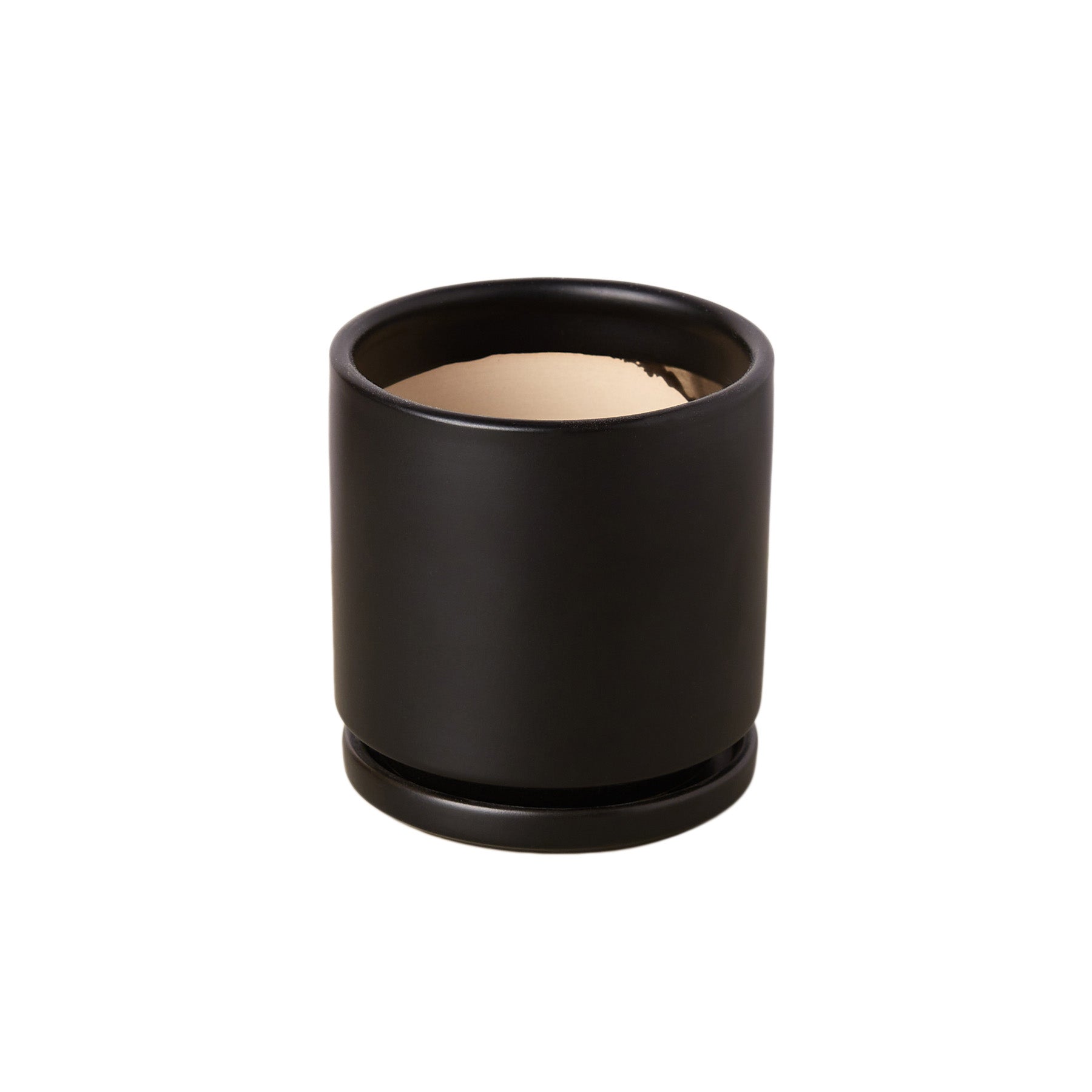 Cylinder Pot potted plant