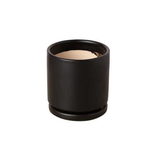 Cylinder Pot potted plant