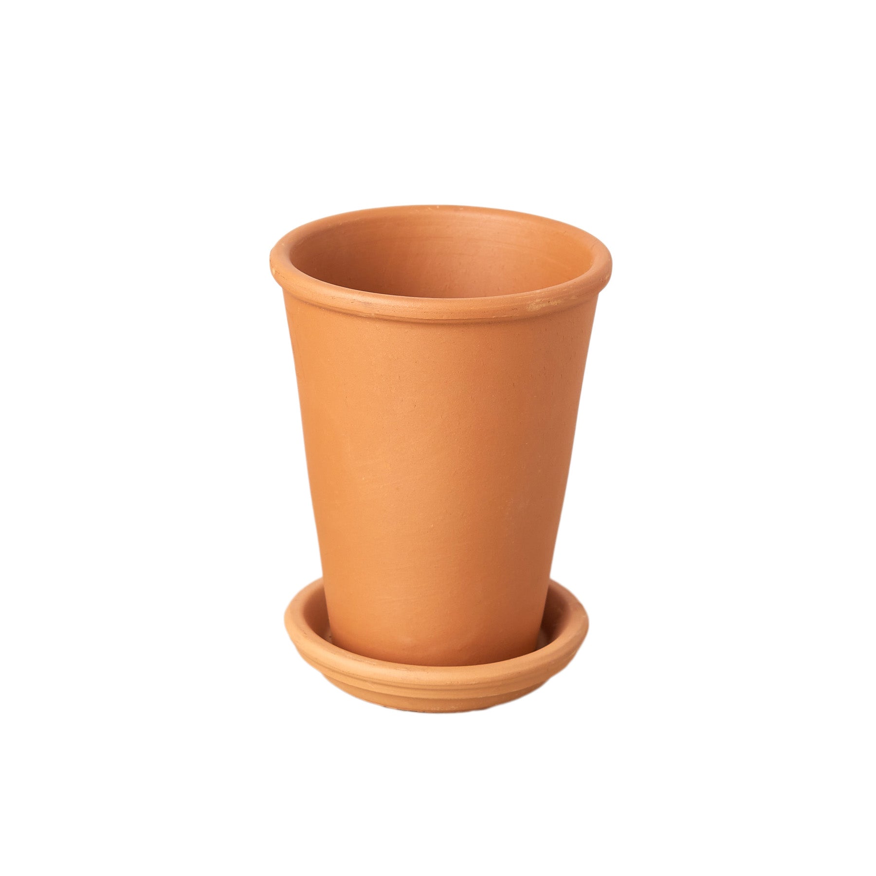 New Plant Parent Bundle 4" potted plant