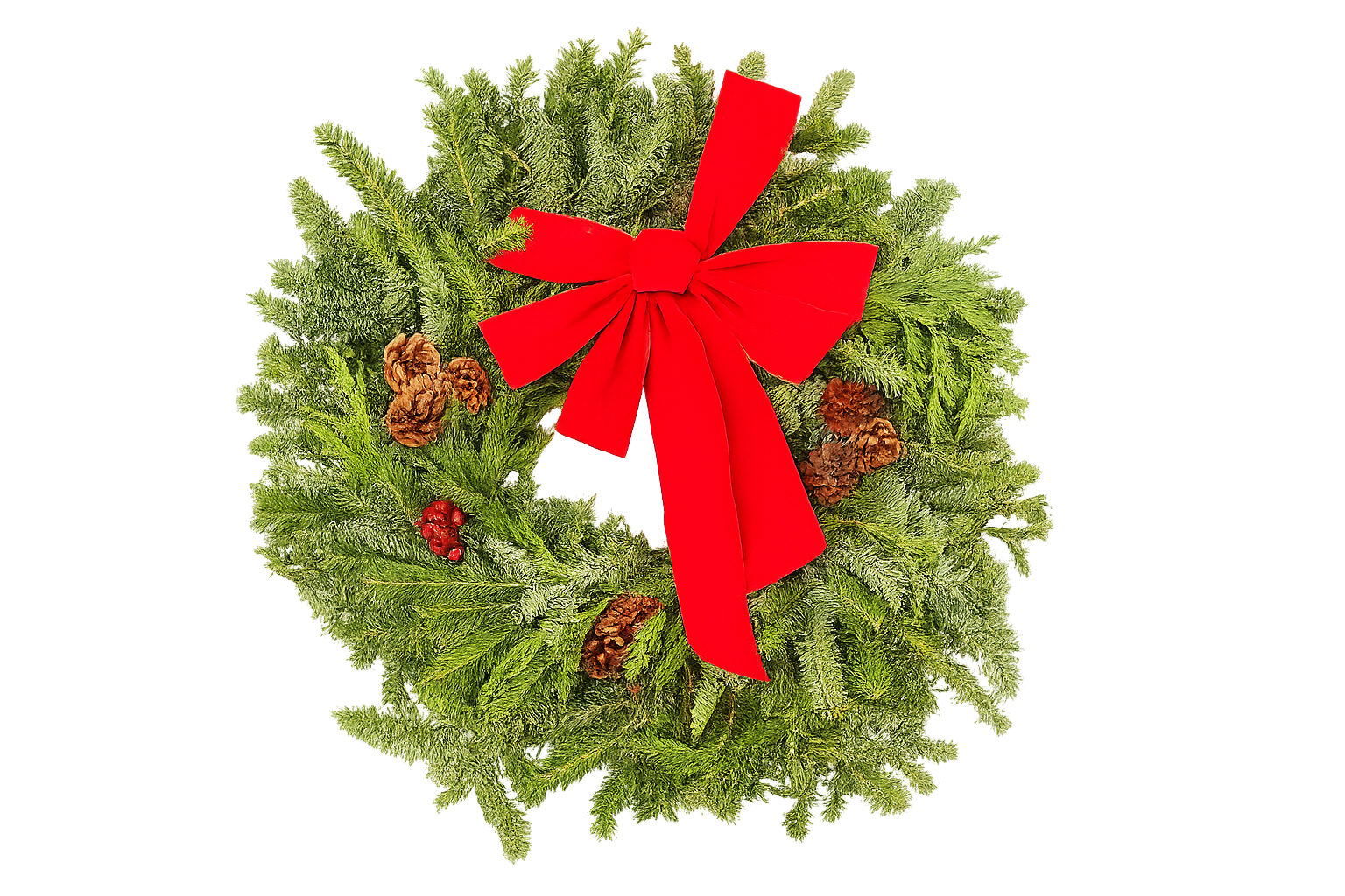 East meets West Decorated Wreath (Fraser, Noble, Cedar) 22" potted plant