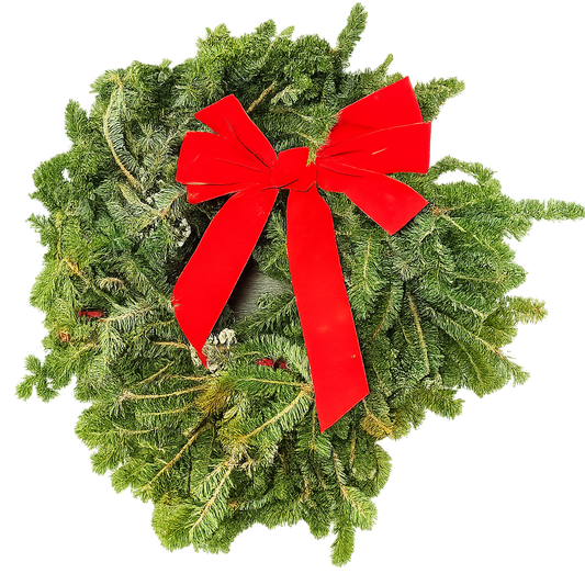 Fraser Fir Wreath Decorated 22" potted plant