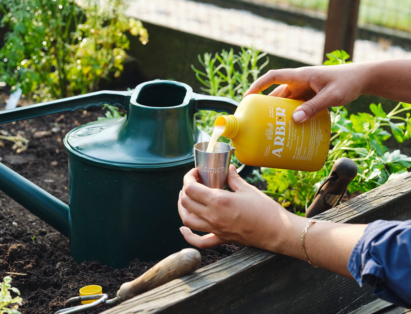 Organic Bio Insecticide potted plant