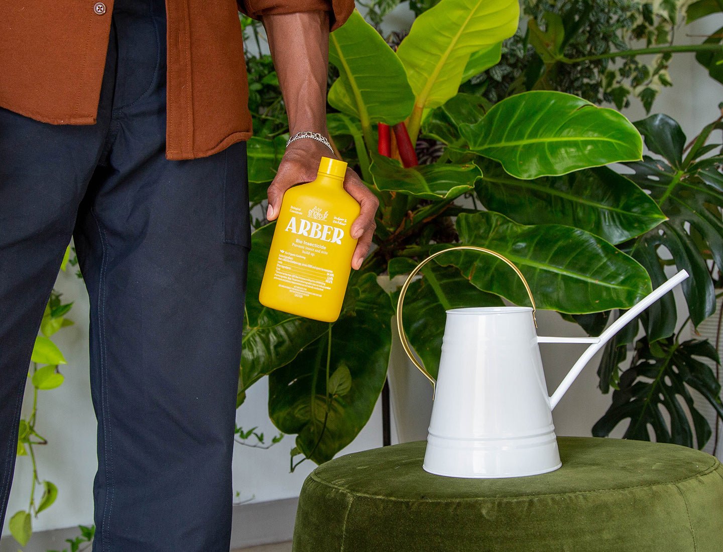 Organic Bio Insecticide potted plant