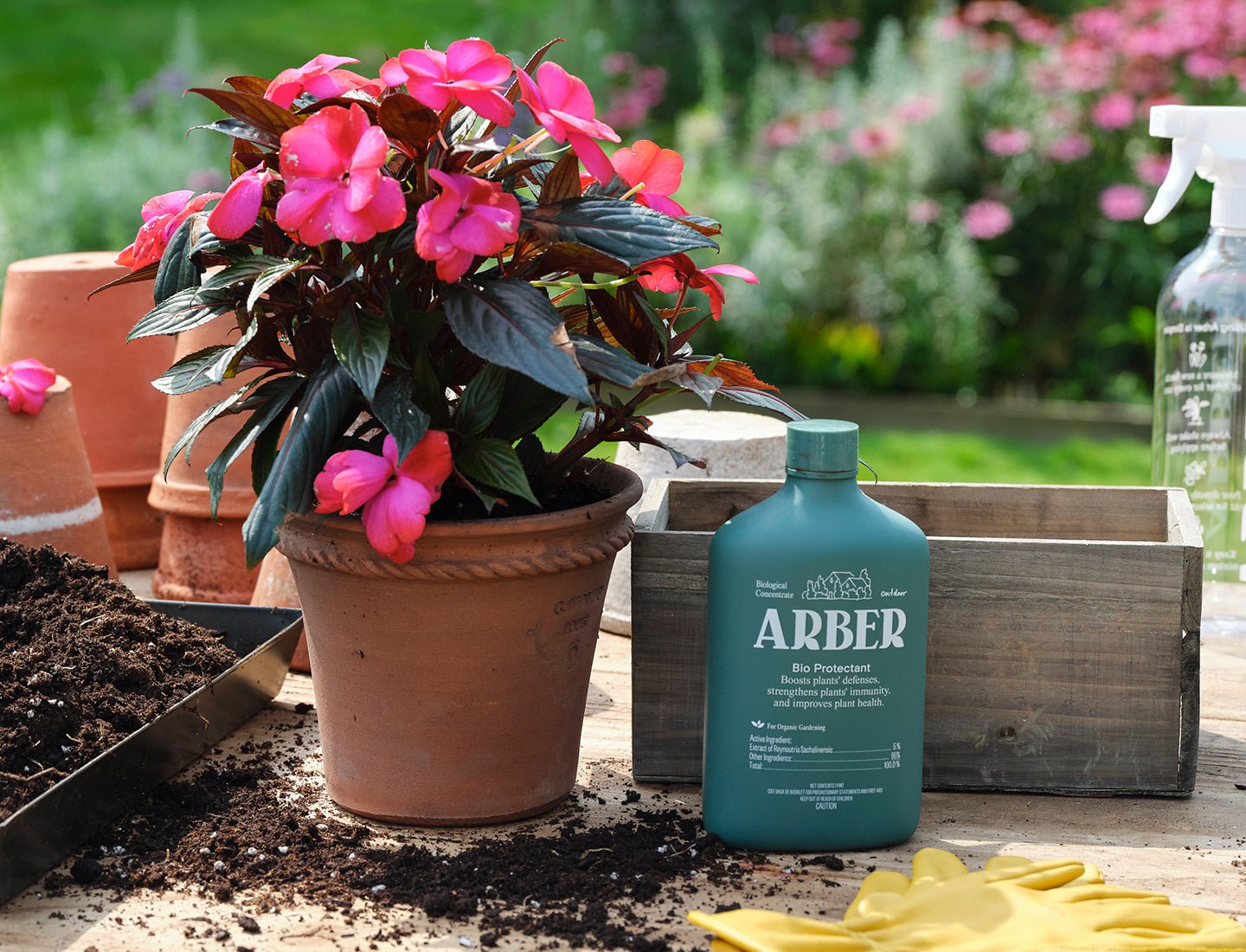 Organic Bio Protectant potted plant