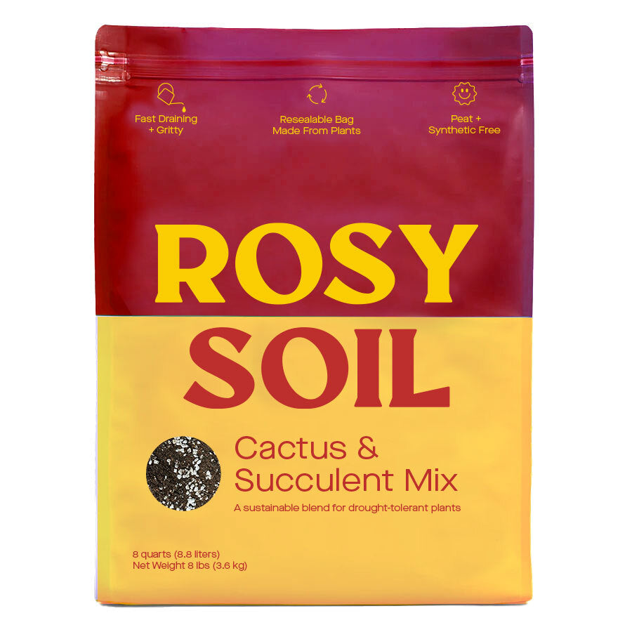 Rosy Cactus & Succulent Potting Soil potted plant