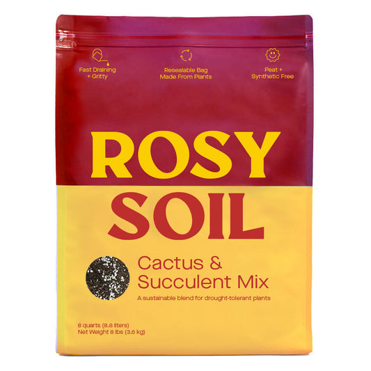 Rosy Cactus & Succulent Potting Soil potted plant