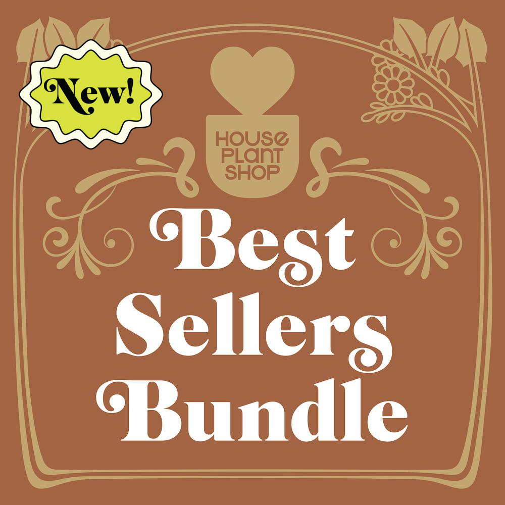 Best Selling Bundle potted plant