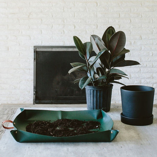 Repotting Mat potted plant