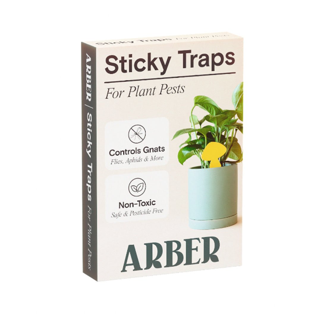 Sticky Traps for Plant Pests potted plant