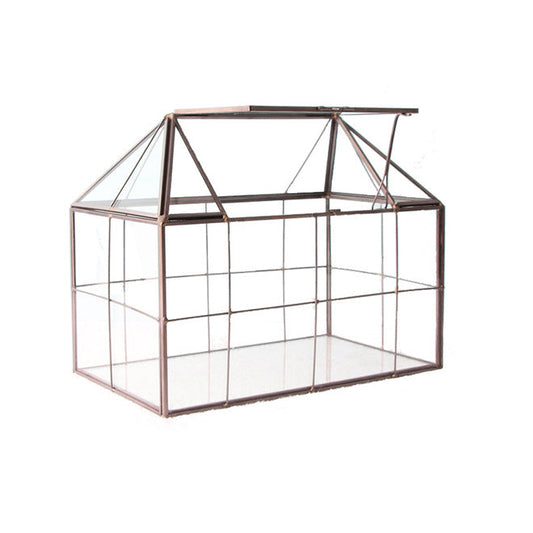 Large Tabletop Greenhouse / Terrarium