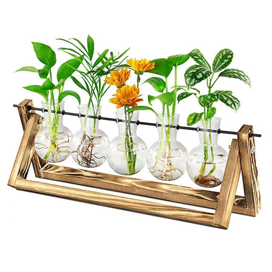 Plant Propagation Station with 5 Vases