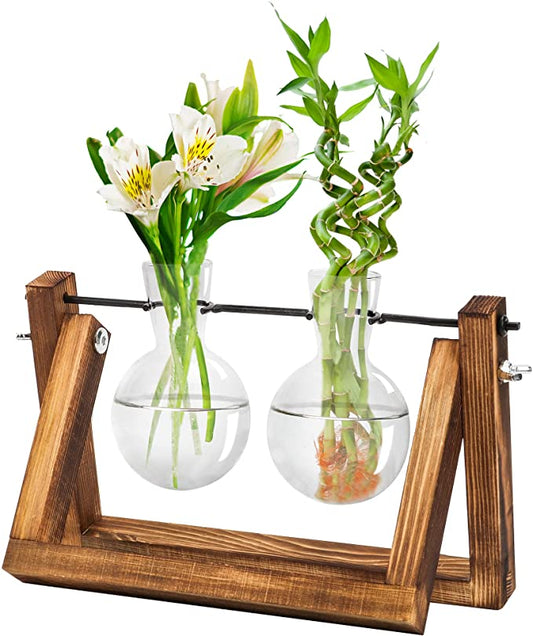 Plant Propagation Station with Wooden Stand