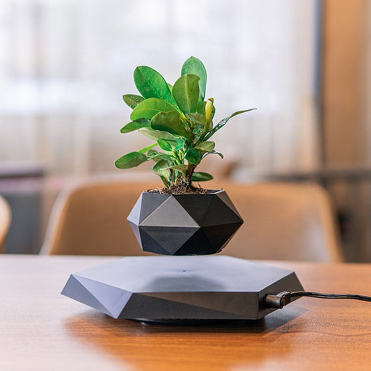 Levitating Planter