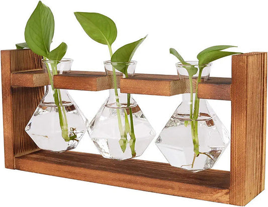 Tabletop Propagation Station with Diamond Shape Glass