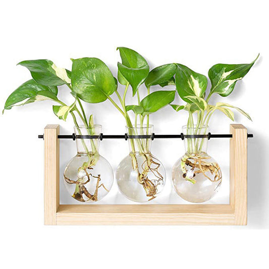 Plant Propagation Station with 3 Vases