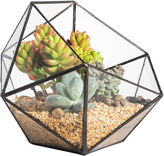 Pentagonal Terrarium