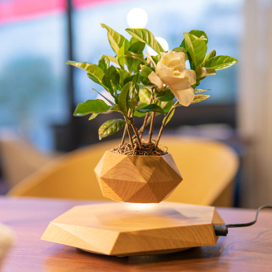 Levitating Planter