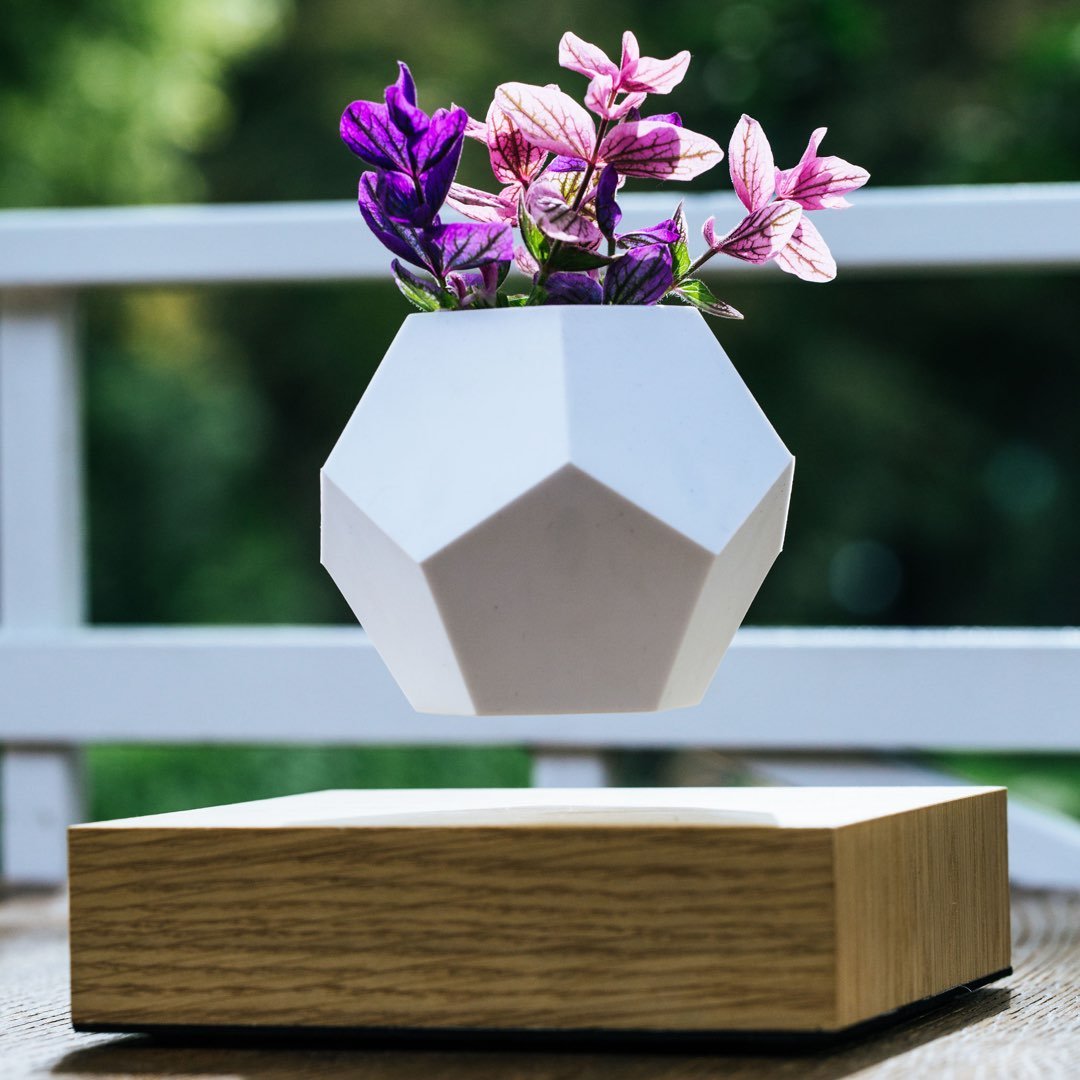 Lyfe Levitating Planter