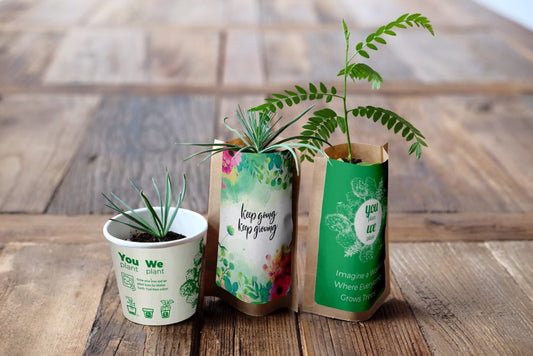 You Plant We Plant Tree Kits