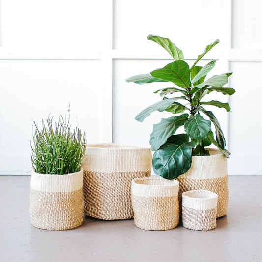 Woven Storage Basket / Planter