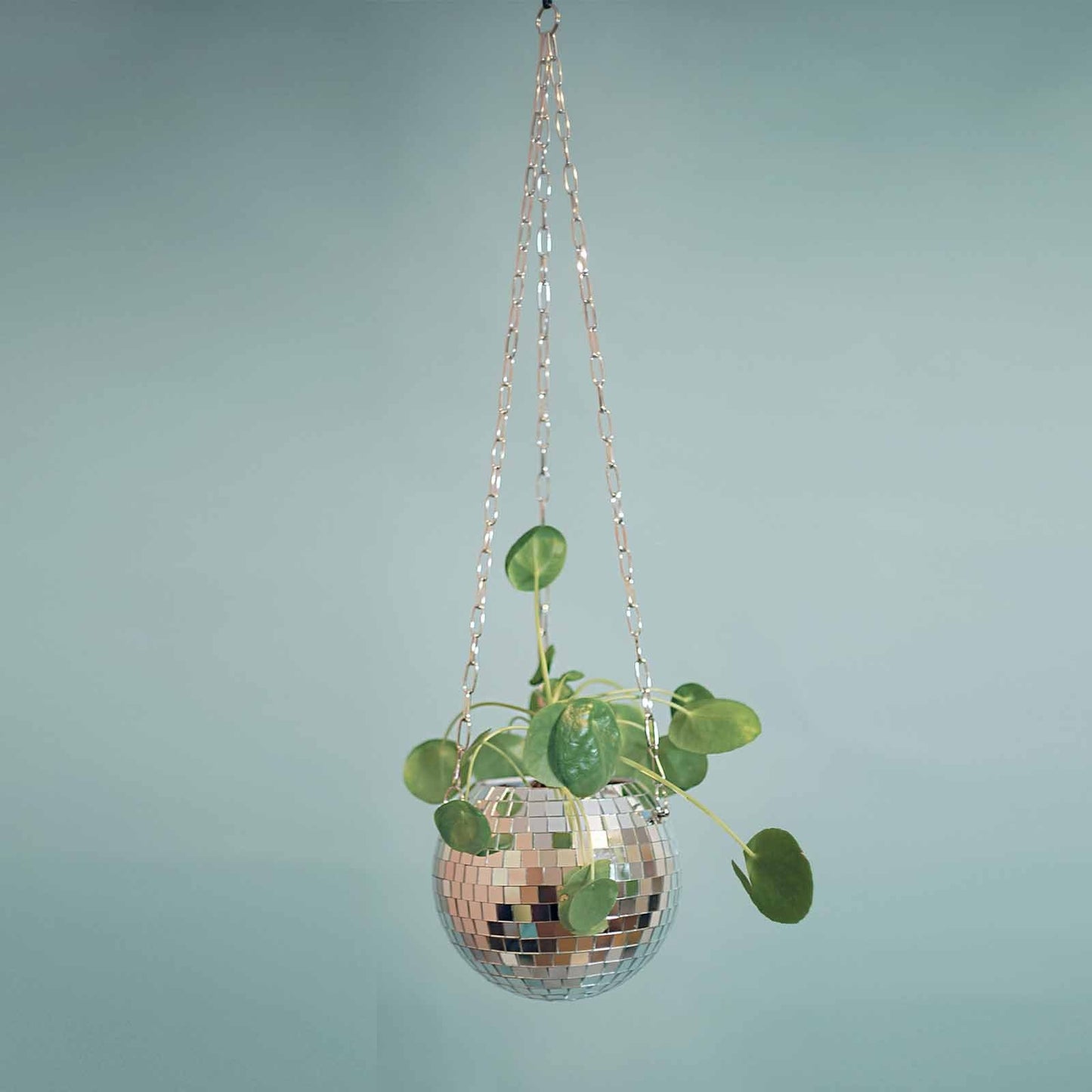 Self-Watering Disco Ball Planter